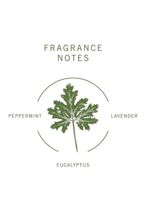Fragrance Notes