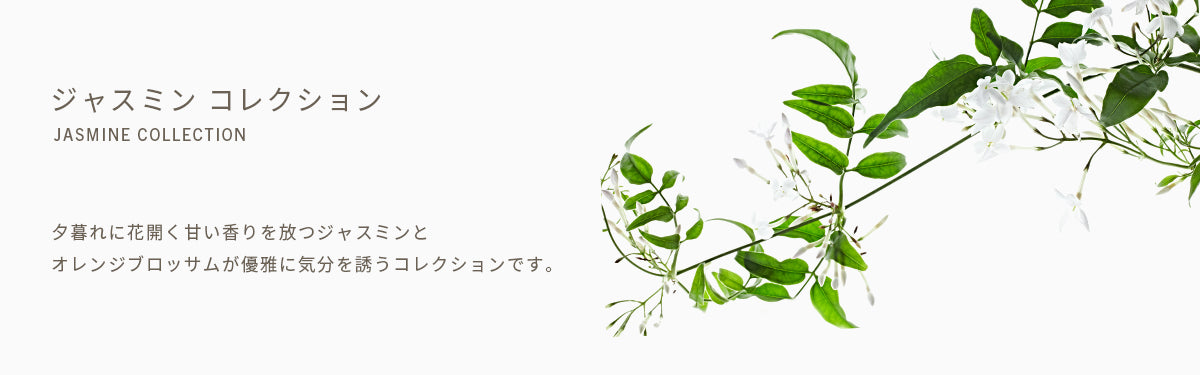ジャスミン